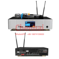 SPE 450W*2 High power Three-in-one KTV karaoke amplifier karaoke amplifier reverb