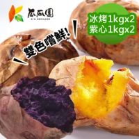 【瓜瓜園】冰烤番薯雙色嚐鮮組(台農57號黃地瓜x2+台農73號紫心地瓜x2)