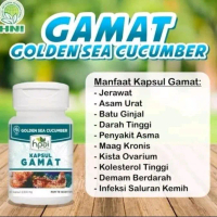 Kapsul Gamat HNI - Suplemen Kesehatan Alami