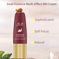GEMMON Halal CC Cushion Stick | 3-in-1 Oil-Control & Snail Extract | Lazy Girls’ Makeup Tool Bb Crea