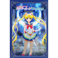 劇場版美少女戰士Eternal 明信片書