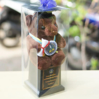 Piala Boneka Wisuda Teddy Bear Choco + Box Mika Kado Wisuda