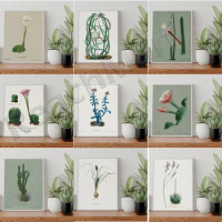 Peruvian apple cactus, easter lily cactus, aloe vera, snake cactus, sun cactus botanical poster, illustration, watercolor