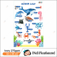 Poster Hewan Laut - Poster Belajar Edukasi Anak Bilingual Didi