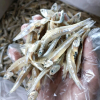 Ikan asin teri jengki/ikan asin teri termurah