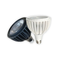 【JIUNPEY 君沛】嚴選植物燈 PAR30 LED20W 塊根植物生長燈 K1光譜(植物生長燈 植物燈)