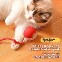 【laku panas9999+】Bola Bergolek Pintar, Mainan Kucing Elektrik, Melegakan Kotoran, Mainan Bola Bergol