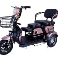 adult folding electric tricycle with child seat and Elderly leisure electric tricycle