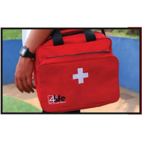 4Life Handmade Kit (4Life Handmade Kit)