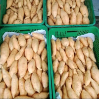 Ubi Madu Cilembu MINI Berat 1Kg Ubi Madu Wonogiri telo madu Gula Kecombrang