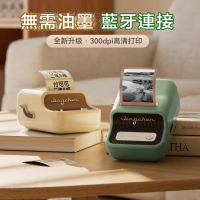 NIIMBOT 精臣 B21 pro 無線藍牙智能標籤機 300dpi高清版(送專用標籤貼紙)