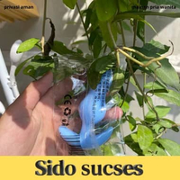 Soft Silikon Penyumbat Pantat Butt Plug Trainer Mini GENDUT 2 TINGKAT