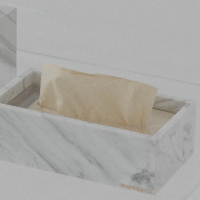 Lica Tissue Sheet Box / Tissue Sheet Tutup Acrylic