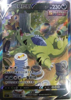 【CardMaster】寶可夢紙牌 中文版 PTCG 一擊大師 S5I_077/070_SR 班基拉斯V 異圖