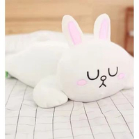 Line Friends Brown Bear Connie Rabbit Sally Doll Plush Toy Kawaii room Decoration Line Friends Brown