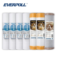 (共7入)EVERPOLL EVB-F101 1微米PP濾心4支 EVB-M100A道爾樹脂濾心2支 EVB-C100A壓縮活性碳濾心 大大淨水