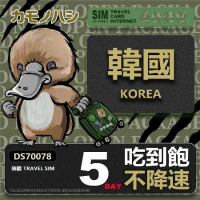 【鴨嘴獸 旅遊網卡】Travel Sim 韓國5天上網卡 吃到飽網卡 韓國吃到飽 韓國上網卡