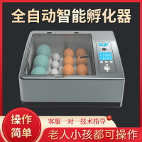 孵蛋器孵化機孵化器雞鴨鸚鵡蛋小型家用型全自動智能蘆丁雞孵化箱110V