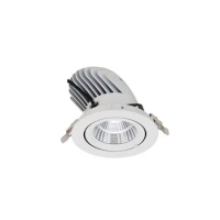 AC85-265V Recessed LED Downlights 40W LED Ceiling Spot Lights Background Spot Lamps for Home Kitchen Spotlights Diameter:190mm