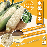 【WANG 蔬果】日本品種水果玉米10斤x1箱(農民直配)