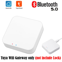 Tuya Wifi Bridge Wireless Wifi Gateway 2.4G Smart Life APP Remote Control Devices Work With Alexa Google Home Smart Lock