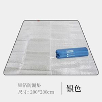 野餐墊鋁箔防潮墊加厚戶外野炊野外郊遊地墊防水便攜露營帳篷墊子