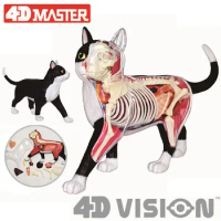 4d Cat Animal Anatomy Model Skeleton Medical Teaching Aid Laboratory Education classroom Equipment master puzzle Assembling Toy