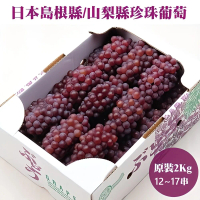 【果之蔬】日本山梨縣珍珠葡萄(原裝12-17串/約2kg)
