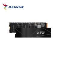 威剛ADATA XPG GAMMIX S50 Core 1000GB PCIe 4.0 M.2 2280固態硬碟/三年保