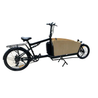 750w 2 wheels cargo ebike bike cargo with battery electric powered bicycles