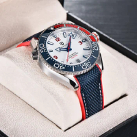 PAGANI DESIGN Men's Luxury Stainless Steel Mechanical Watch Sapphire Glass Automatic Watch Top Brand Waterproof 100m Men Watches