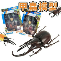 獨角仙模型 鍬形蟲 甲蟲模型 /一組入(共一套9隻)(促180) 牛角蟲 仿真昆蟲 雙叉犀金龜 兜蟲 仿真 標本 教具 -首HJ278-3