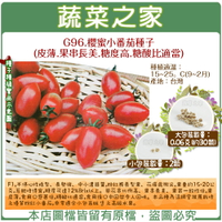 【蔬菜之家】G96.櫻蜜小番茄種子 (共有2種包裝可選)(皮薄蕃茄.果串長美.糖度高.糖酸比適當)