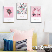 TROMSO 北歐生活版畫有框畫-粉紅花藝WA95(三幅一組)