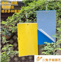 【免運】園藝粘蟲板黃板藍板雙面誘蟲板小黑飛薊馬粉虱果蠅黏板