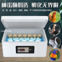 110V 12V 雙電 半自動孵化器 孵蛋機 智能型傢用孵蛋器 照蛋燈 智能水牀 小型 孵蛋器 孵化箱