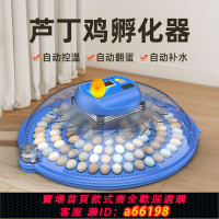 【台灣公司 可開發票】小飛碟孵化器小型家用型全自動智能孵蛋器雞鴨蘆丁雞孵化機孵化箱