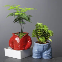 Plant asparagus combination ceramic flowerware European style simple and creative interior decoration of fleshy flowerpot