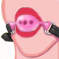 100% Medical Silicone BDSM Gag,Slave Mouth Gags Ball,Bondage Restraints,Submissive Role Play,Sex Toys For Couples,Restriction