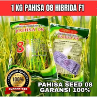 BENIH PADI HIBRIDA F1 PAHISA SEED 08 KUALITAS SUPER