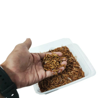 Ulat Hongkong Panggang Kering Dried Mealworm Pakan Burung Hamster Ikan
