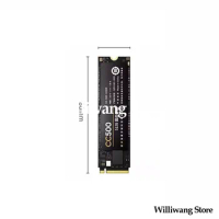 NEW Original CC500 512G Solid State Drive M. 2 NVMe M2 Solid-State 512gb SSD PCle3.0 3500MB/s reading Graphene heat sink