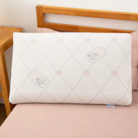 【義大利進口PILLOVE】碳織石墨烯記憶枕(含枕頭套/多功能釋壓/經典麵包型)