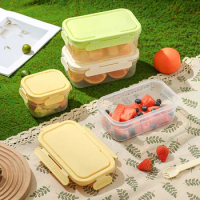 Double Layer Light Meal Fresh Keeping Box Sealable Outdoor Portable Freezing Lunch Box Mobile Mini Fridge Fruit Box