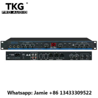 TKG DSP 100sound system audio processor DSP-100 Professional Digital Karaoke Preamp DSP100 Processor audio system audio system