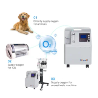 Veterinary Oxygen Concentrator Supply O2 for Anesthesia Machine Surgery