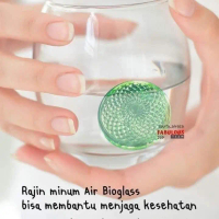 Biomini V4 MCI original | bioglass mini