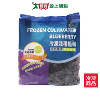 天時莓果冷凍栽種藍莓400G /包【愛買冷凍】
