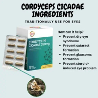 [3 box free 1] GKB Cordyceps Sinensis & Cicada Flower Extract 350mg (60 capsules) | Eye Care Supplem