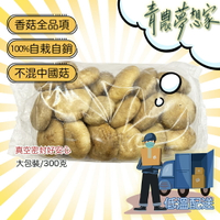【青農直配】台灣生鮮香菇 - 300克，健康，無毒，清香，快速出貨🔥